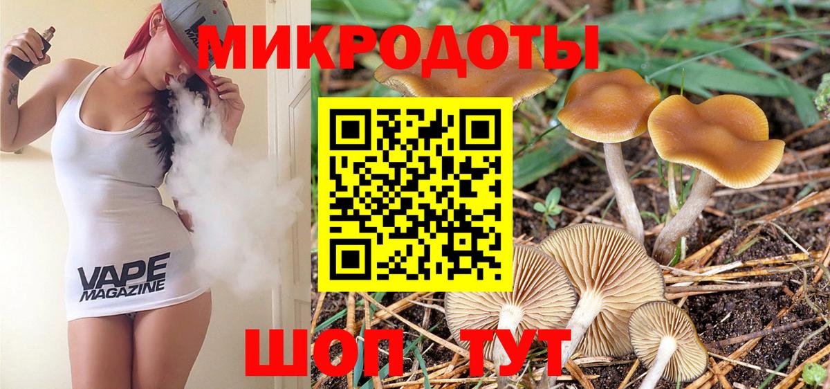 Псилоцибиновые грибы Magic Shrooms  Вход с VPN  Карпинск 